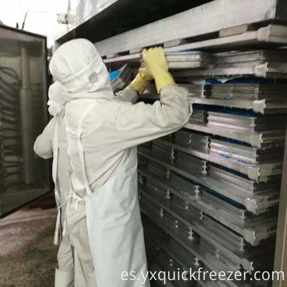 plate freezer freezing process